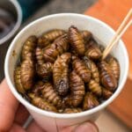 Beondegi Korean silkworm pupae street food in a cup
