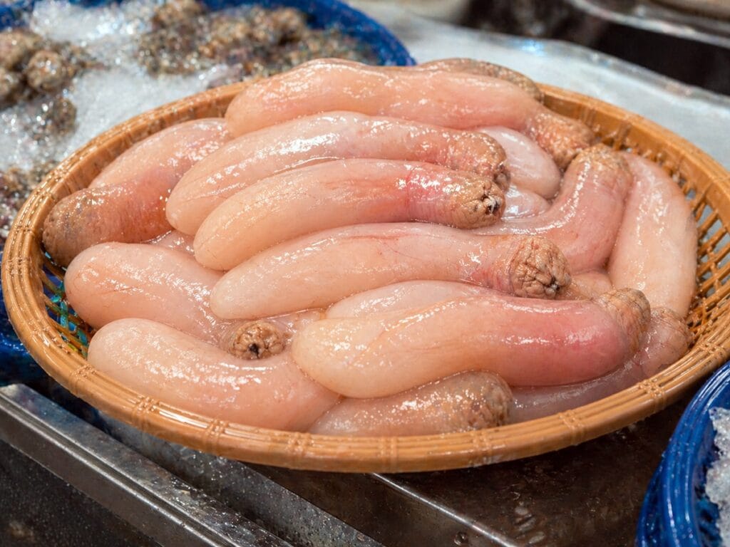 Shocking Korean Food: Gaebul (Spoon Worm) Fresh in Market